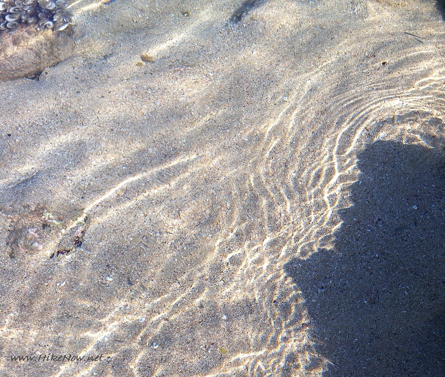 Alghero clear water of the sea in the town beach - Sardinia