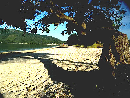 Mugoni beach - Sardinia