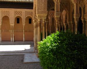 Arches of Alhambra Arches around Patio of Lions 