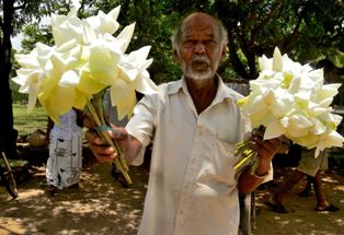 Locals with flowers in Anuradhapura stupa
