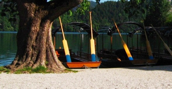 Boats - Lake Bled Slovenia
