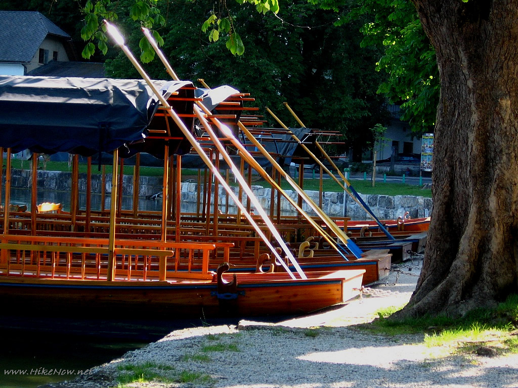 Take a trip with "Pletna" boath to the island in the middle of the Lake Bled - Slovenia 