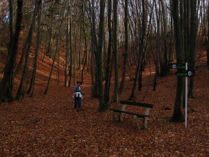 To the Osojnica hill