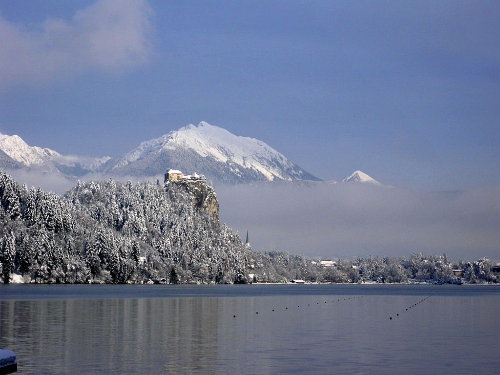Lake Bled winter and castle with snowed mountains - Slovenia