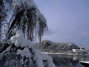 Lake Bled castle mountain winter- Slovenia