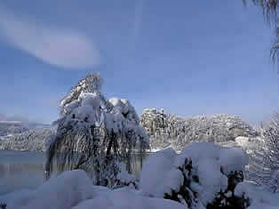 Lake Bled winter- Slovenia