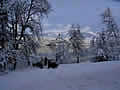 Lake Bled winter