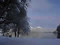 Lake Bled - stroll in winter