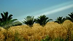 Rural surrounding of Cadiz