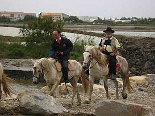 Horses trip in Camargue park