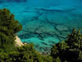 Capo Testa marine life - Sardinia