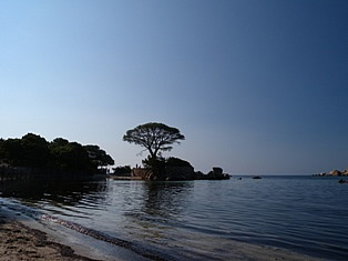 Palombaggia beach - Corsica