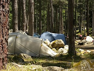 Restonica Camp site - Corsica