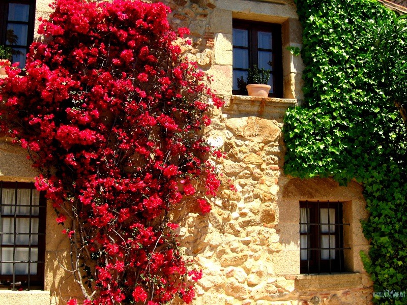 Enjoy holidays in farmhouses and Costa Brava villas for farmhouse accommodation or villa rental, Spain 