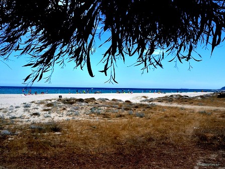 Flora and nature of Costa Rei