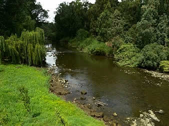 Fordongianus - river Tirso