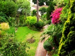 Inside Gibraltar botanic gardens