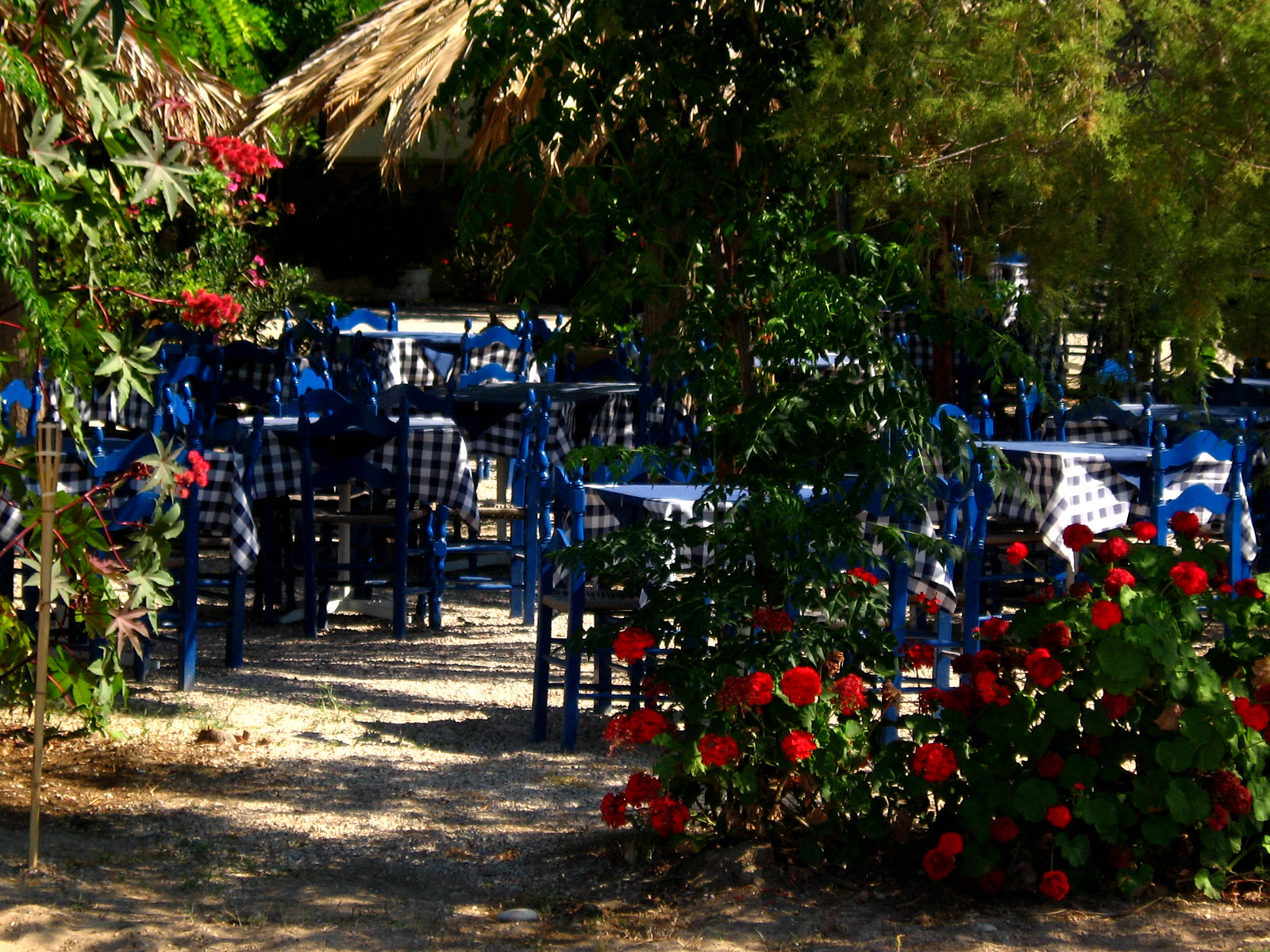 The area around Gialova village is largely touristic - bars, restaurants, and the one hotel, on the hill behind Gialova stay also several houses and holiday villas, Pylos Greece 