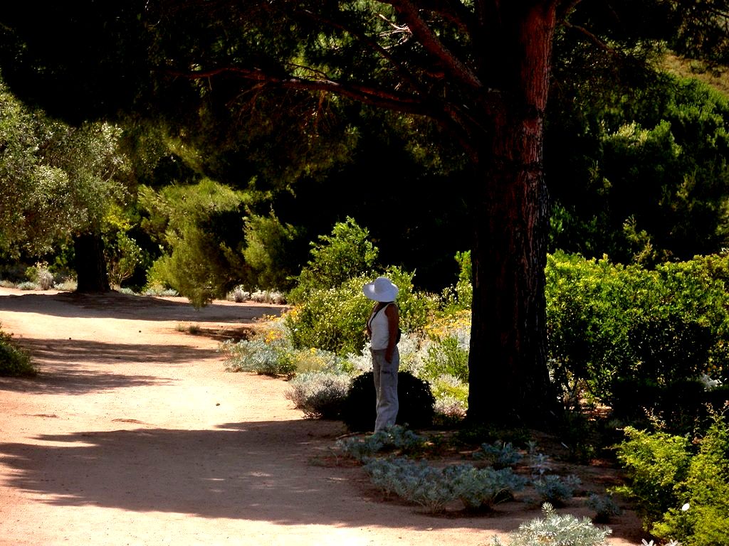 Enjoy walk in Saleccia park - L 'Ile Rousse Corsica