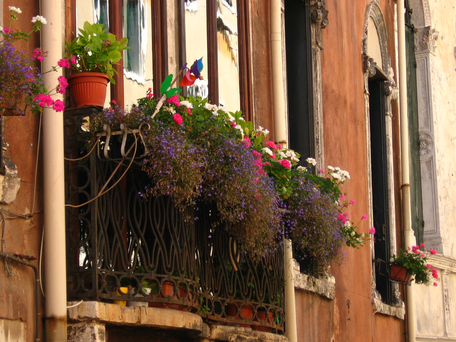 Flowers on balcony above Venice canal - Italy 