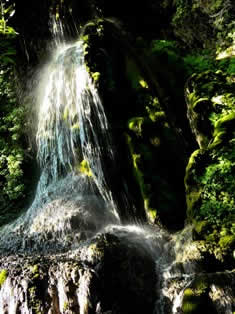 Laconi park springs - Sardinia