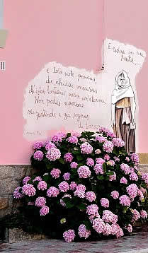 The murals painted on the houses of Orgosolo Sardinia
