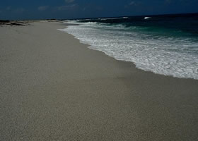 On the beach of Sinis peninsula - Oristano Sardinia