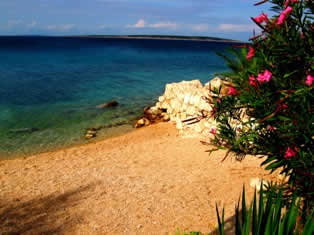 Small beaches of touristic settlement Mandre Pag Croatia