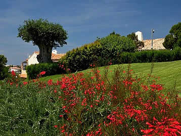 Gardens of Porto Cervo - Sardinia