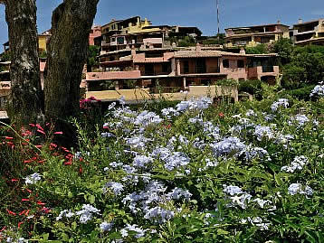 Gardens in village of Porto Cervo - Sardinia