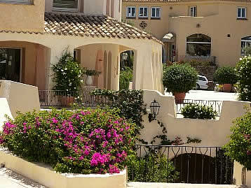 Greenery  of Porto Cervo - Sardinia