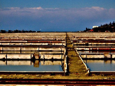 Saltpans Secovlje