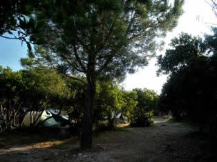 Rondinara Corsica