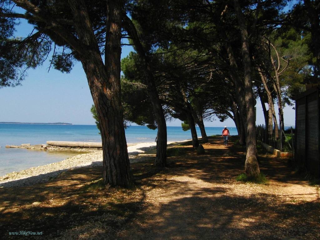 Rovinj is Istria?s famous beach destination with its varied types small bays located - Croatia 