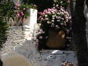 Flowers arround Dalis house Cadaques