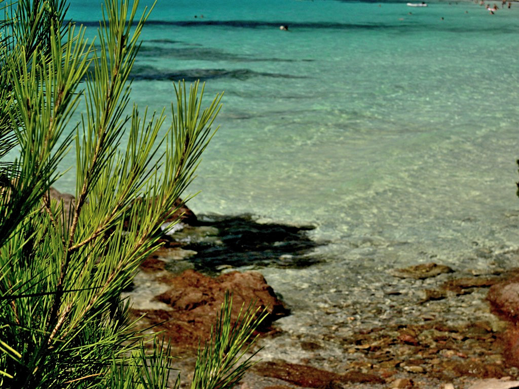 Brandinchi beach is located along the Olbia - San Teodoro road, between Punta Sabbatino and Capo Codacavallo - Sardinia, Italy 