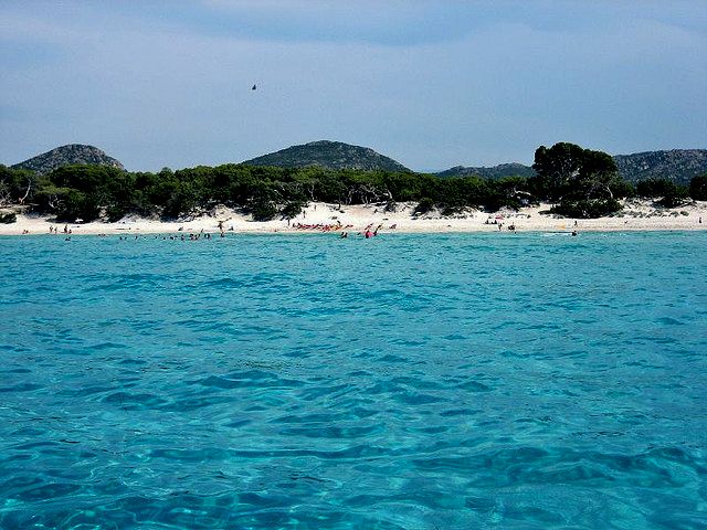 Saleccia beach next to St. Florent town - Corsica