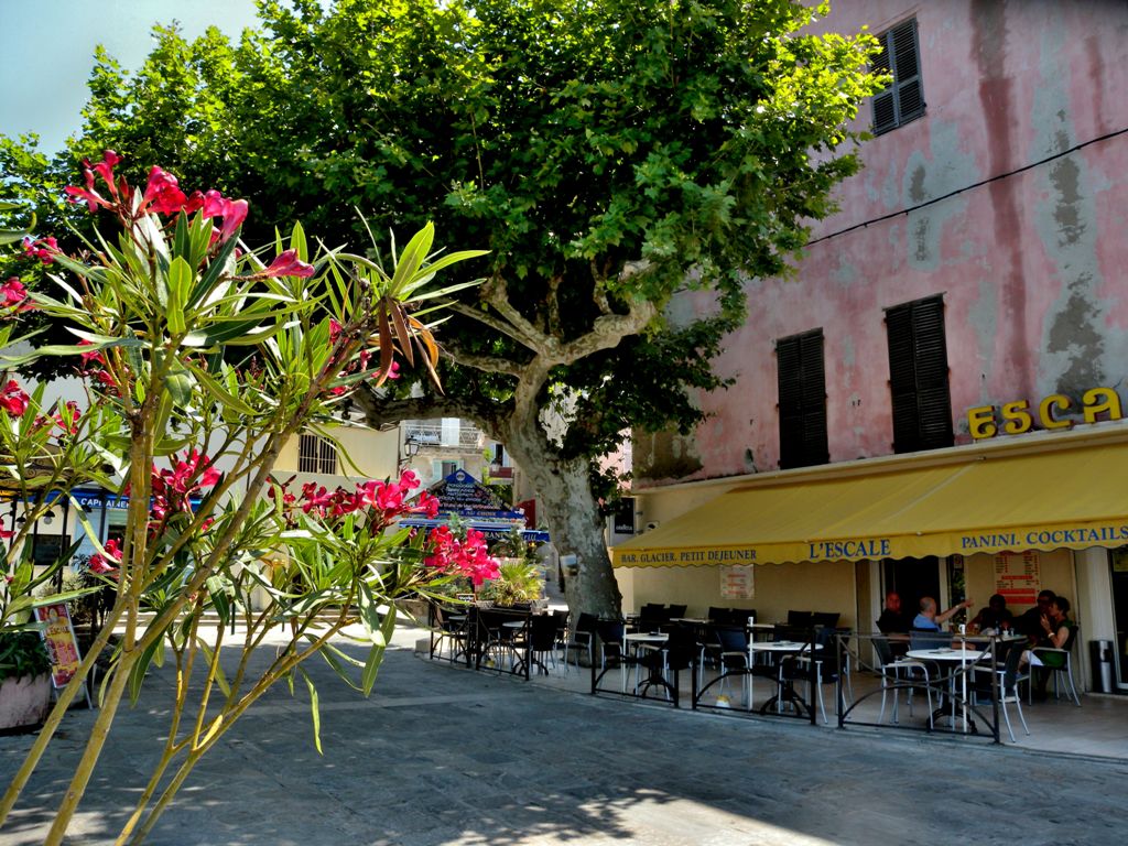 St. Florent with boats, bars and excellent fish restaurants attract tourists - Corsica 