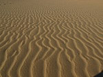 Sandy beaches of Tarifa