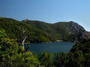Lake-Tolla-Corsica