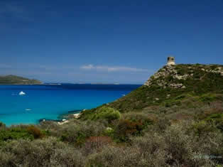 capo carbonara marine protected area - Sardinia