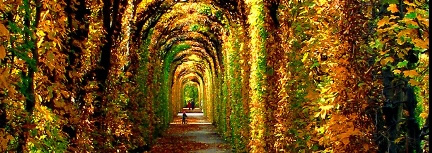 Schoenbrunn Park in Autumn Austria