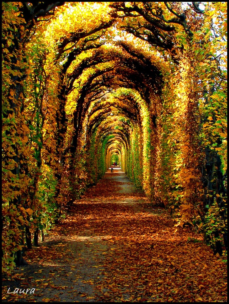 Schoenbrunn in Autumn Austria