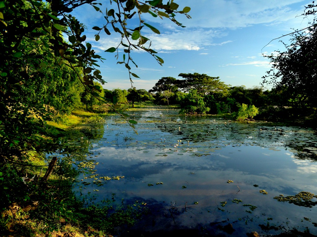 Yala national park hosts a variety of ecosystems ranging from moist monsoon forests to freshwater and marine wetlands - Sri Lanka 