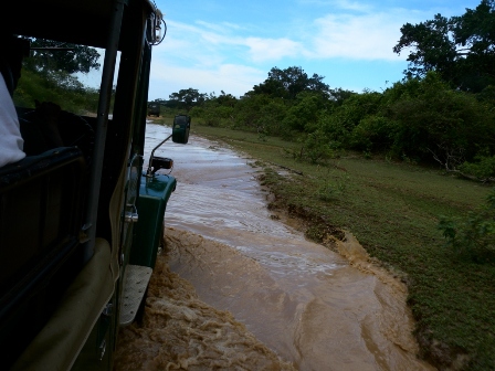 Safari jeep in Yala national Park
