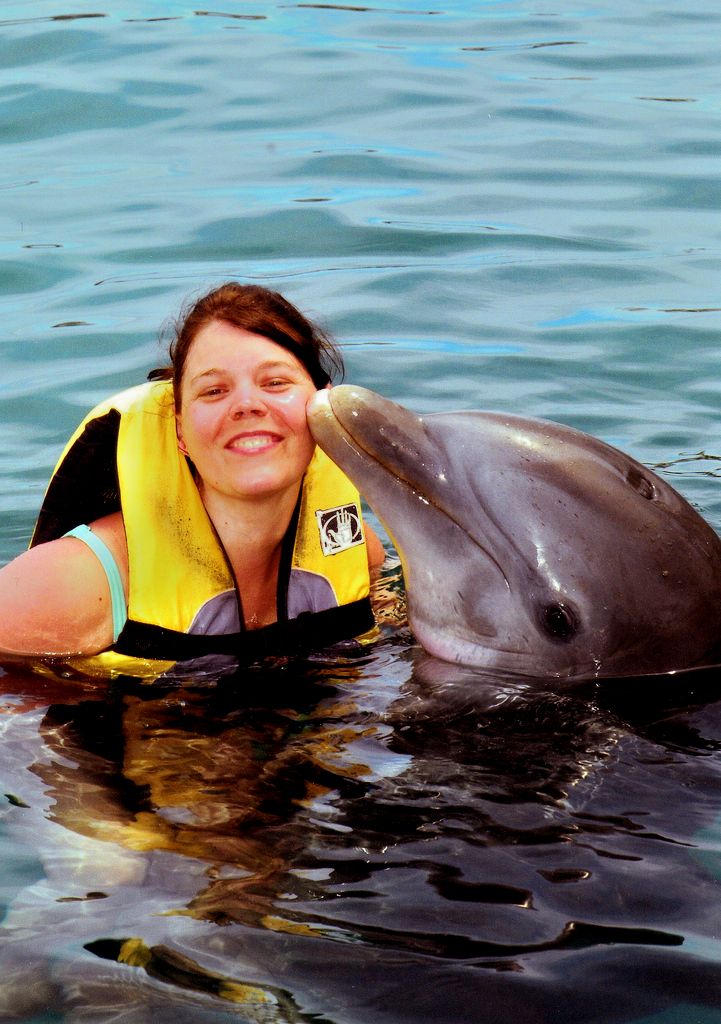 Bahamas adventure - play with dolphin 