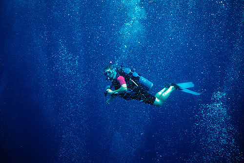 diving Bahamas - Long Island