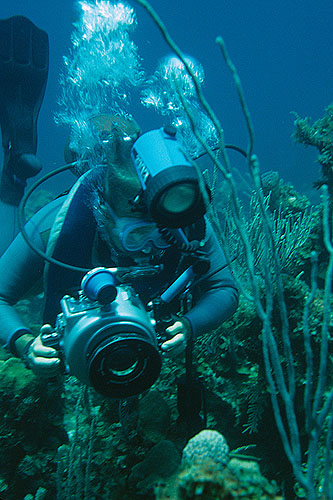 Diving bahamas - Photo along Long Island Bahamas