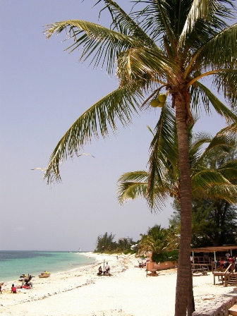 Grand Bahama beach