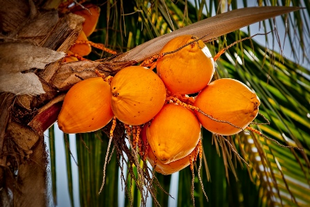 Nassau Bahamas - walking along the streets and take a nice pictures shot